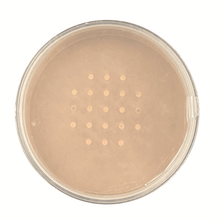 Technic Mineral Powder Foundation