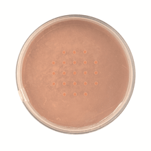 Technic Mineral Powder Foundation