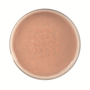 Technic Mineral Powder Foundation