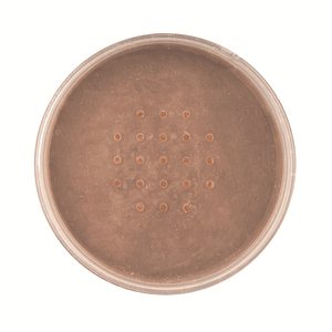 Technic Mineral Powder Foundation